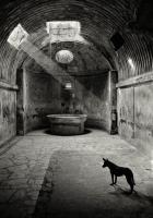 1st Century Bath House, Pompeii, Italy