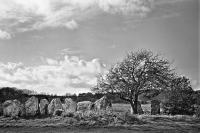 Megaliths, Carnac, France