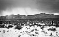 Snowstorm - Nevada Desert