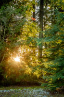 Stanley Park, Vancouver, Canada